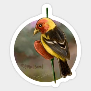 Western Tanager Sticker